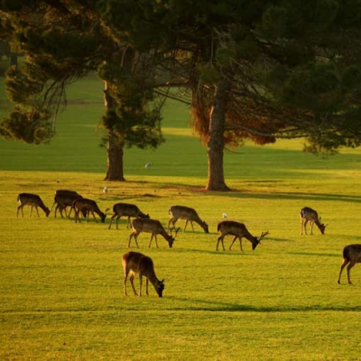 Amazing Croatia - 2 national parks, 3 regions, 6 cities